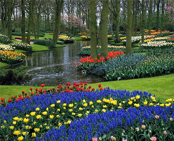 красивый парк цветов